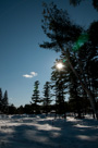 Winter Wonderland